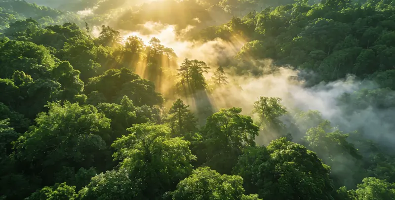 咸阳肺癌靶向39基因检测（组织）图片1